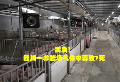四川一養豬場發生化糞池氣體中毒事故，逸云天氣體檢測儀守護安全